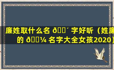 廉姓取什么名 🌴 字好听（姓廉的 🐼 名字大全女孩2020）